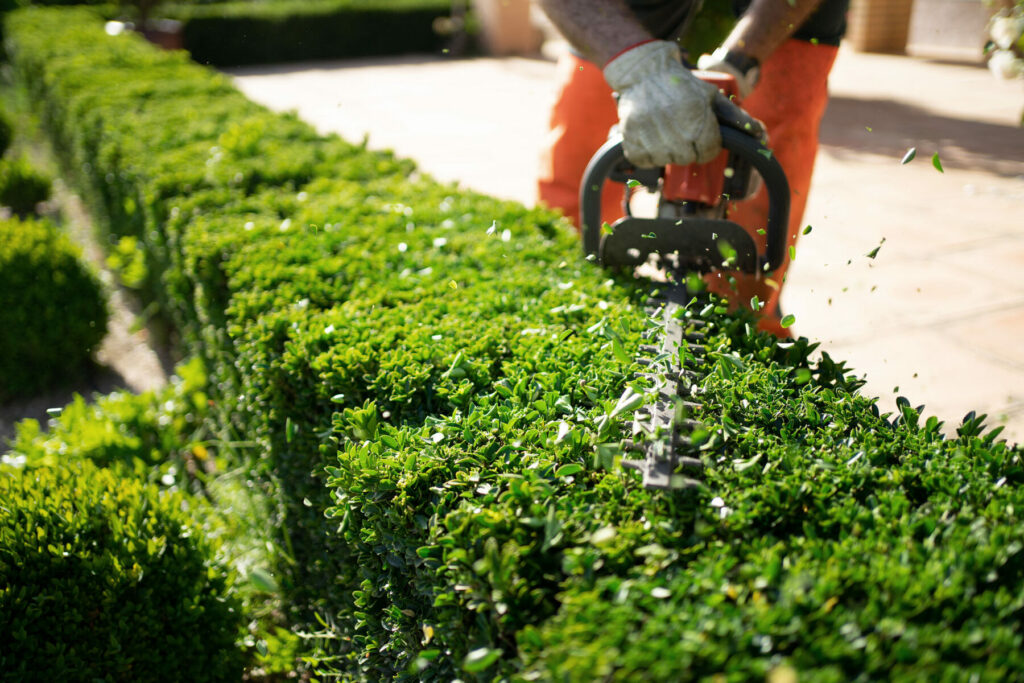 Garden Maintenance in Hook. Logic Landscaping